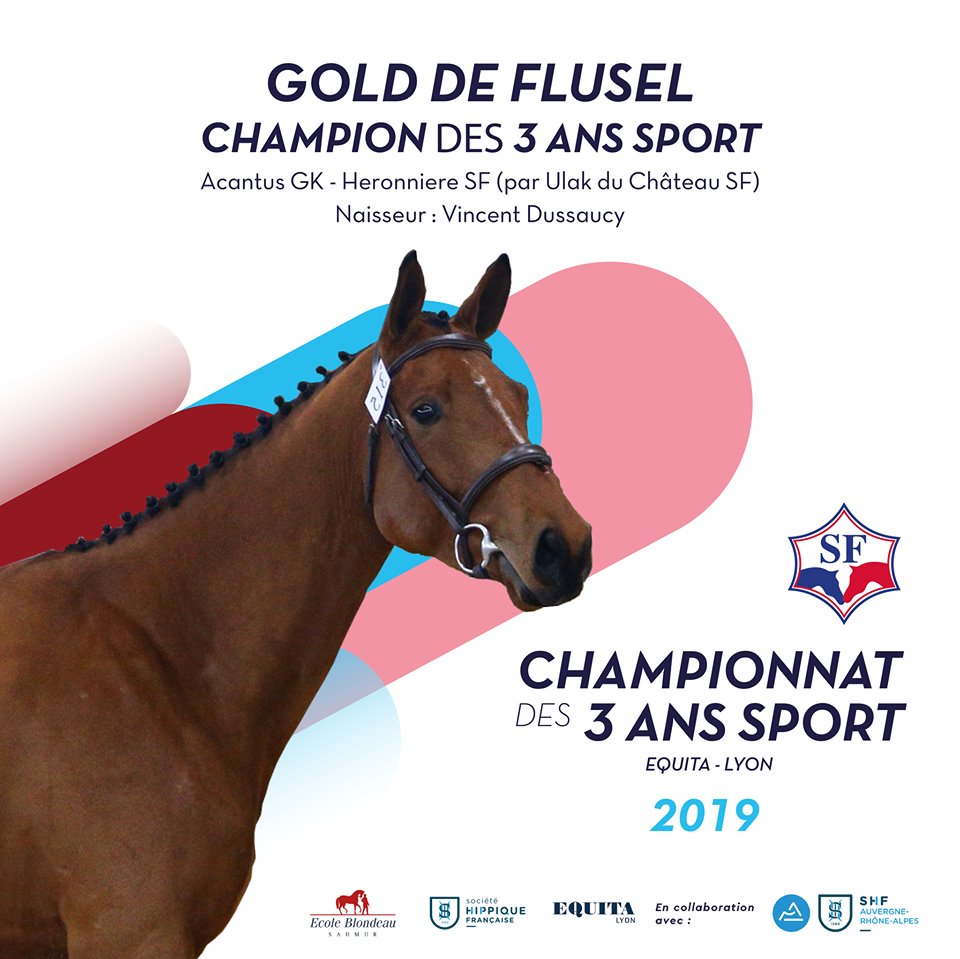 Le champion des 3 ans sport est Franc-Comtois !