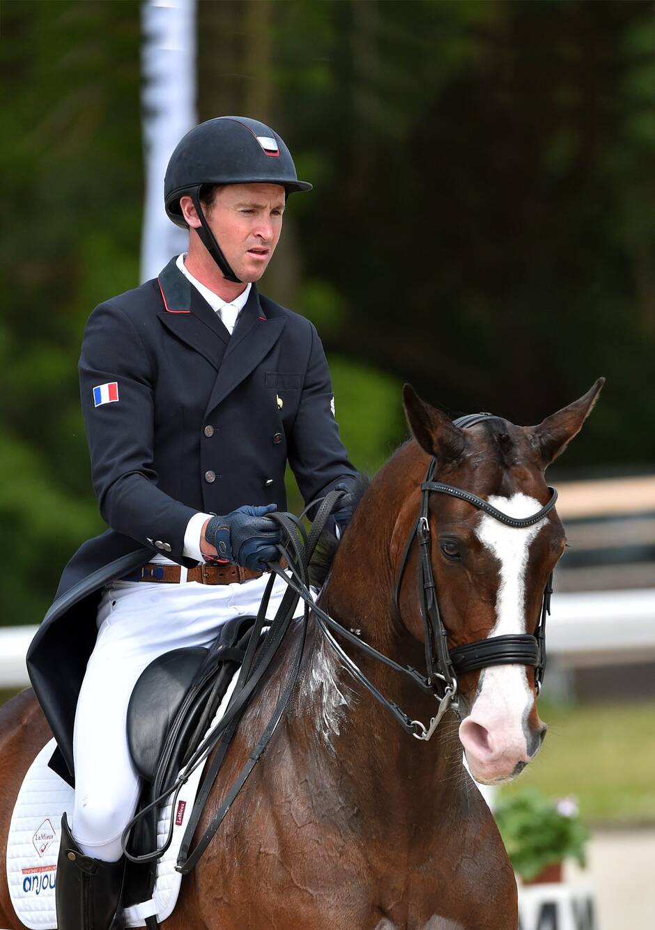 Les cavaliers du Maine-et-Loire en course pour une qualification olympique en complet