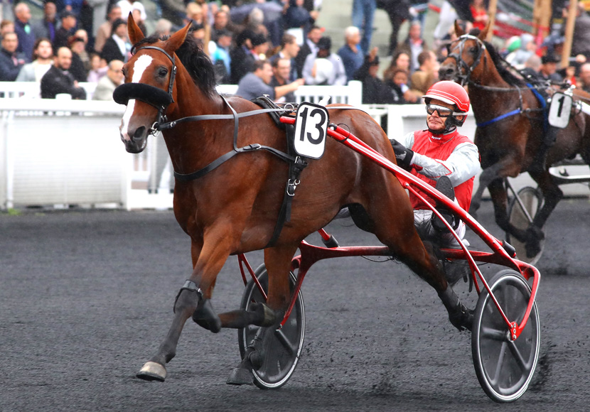 Une jument bressane au Prix d'Amérique