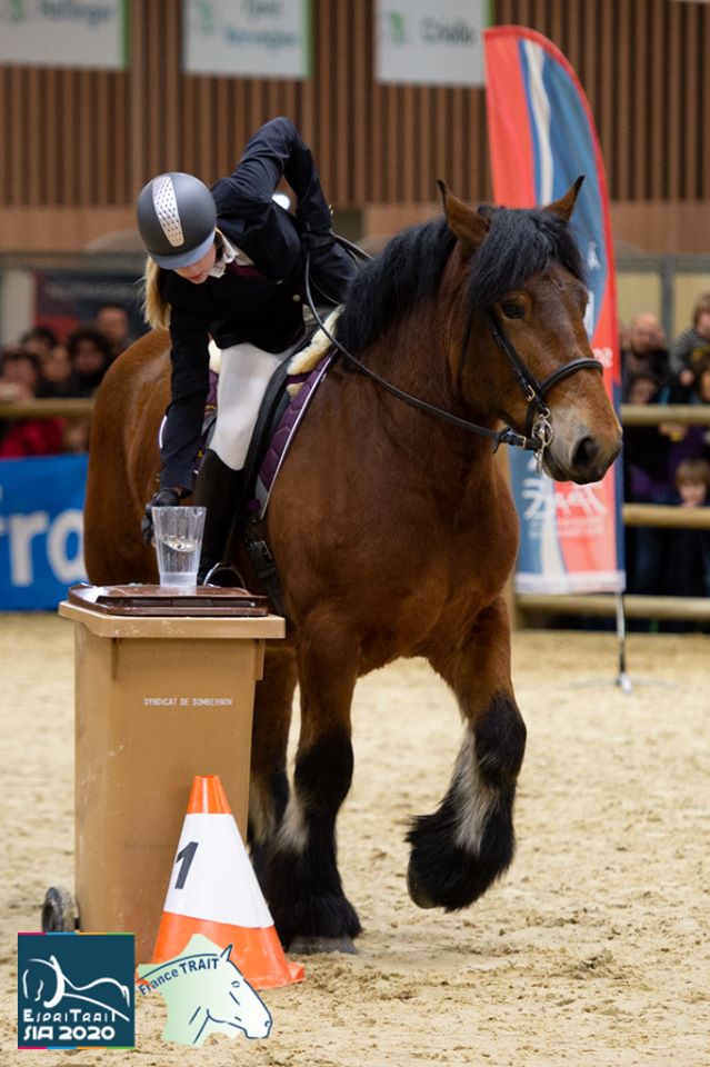 Trophée Trait Monté au SIA : la Bourgogne Franche-Comté à l'honneur