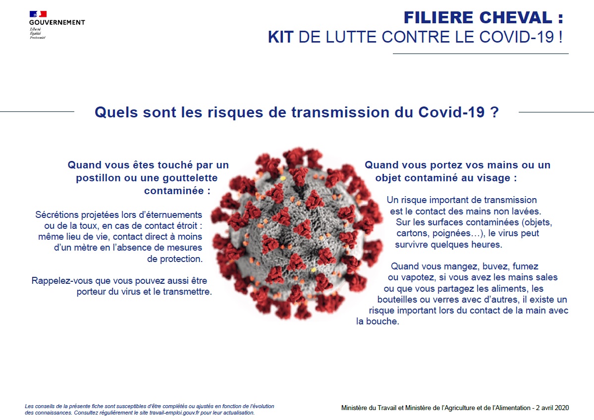 Kit de lutte contre le COVD-19 : filière équine