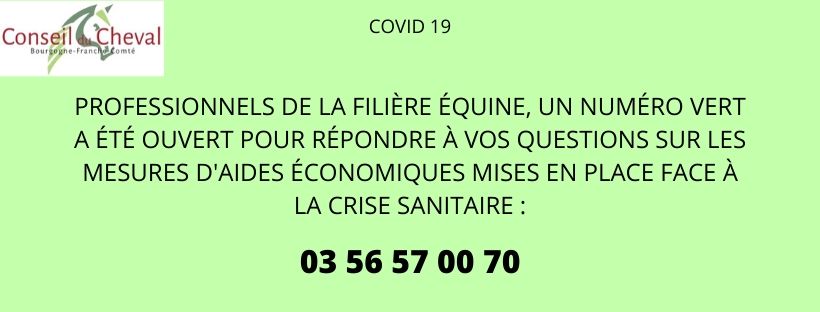 COVID-19 : Un numéro vert pour vous informer sur les aides disponibles pour votre structure