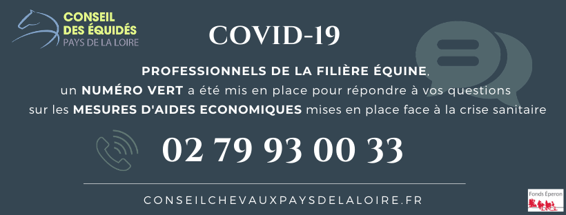 Le Conseil des Equidés des Pays de la Loire met en place un numéro vert 02 79 93 00 33