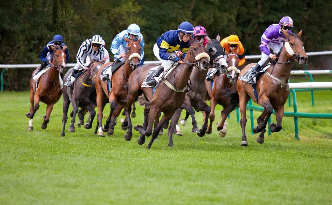 Des mesures de soutien pour une reprise progressive réussie des courses hippiques