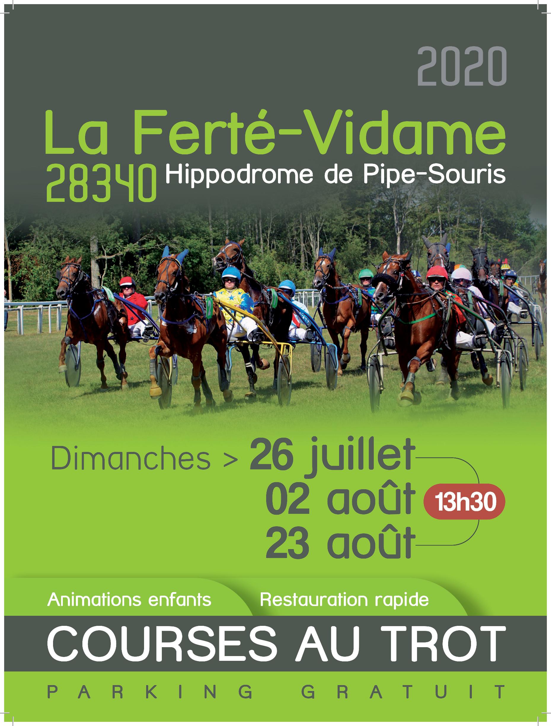 Réunions de courses sur l'hippodrome de la Ferté Vidame/Dreux