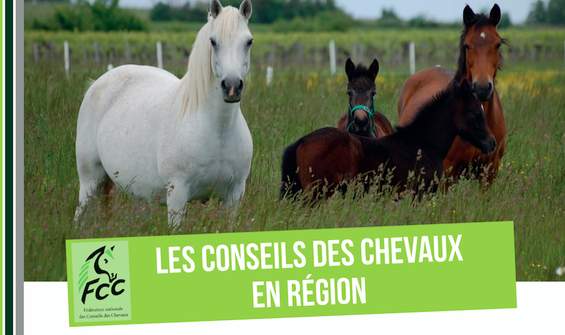 Les Conseils des Chevaux en région