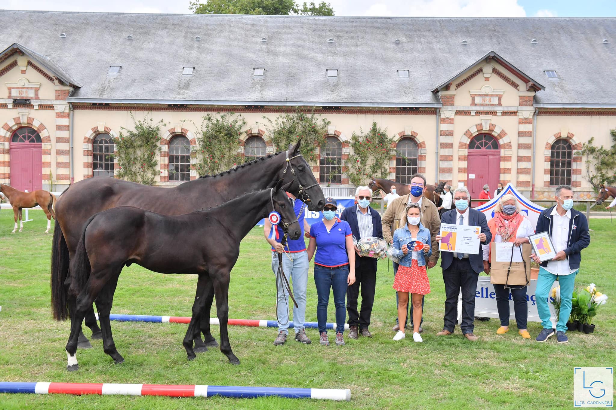 Championnats de France des Foals SF à St Lô : Kahann du Mondragon se classe 3ème