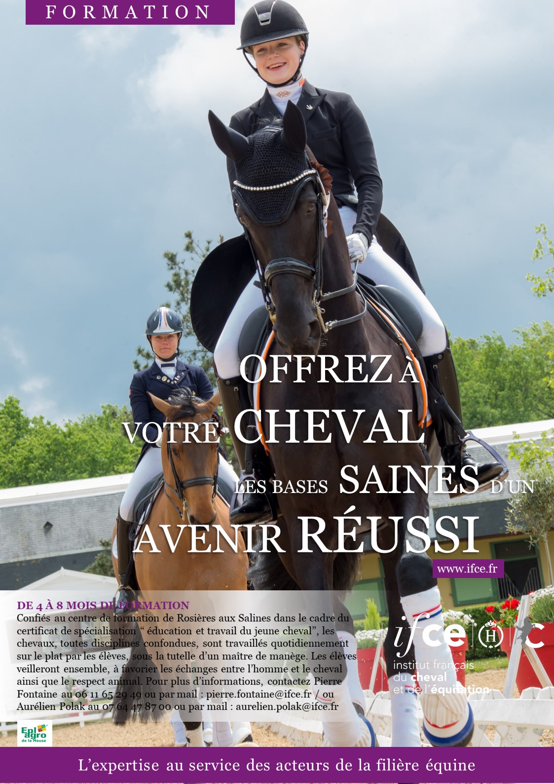 Confiez vos chevaux au centre de formation IFCE du haras de Rosières-aux-Salines !
