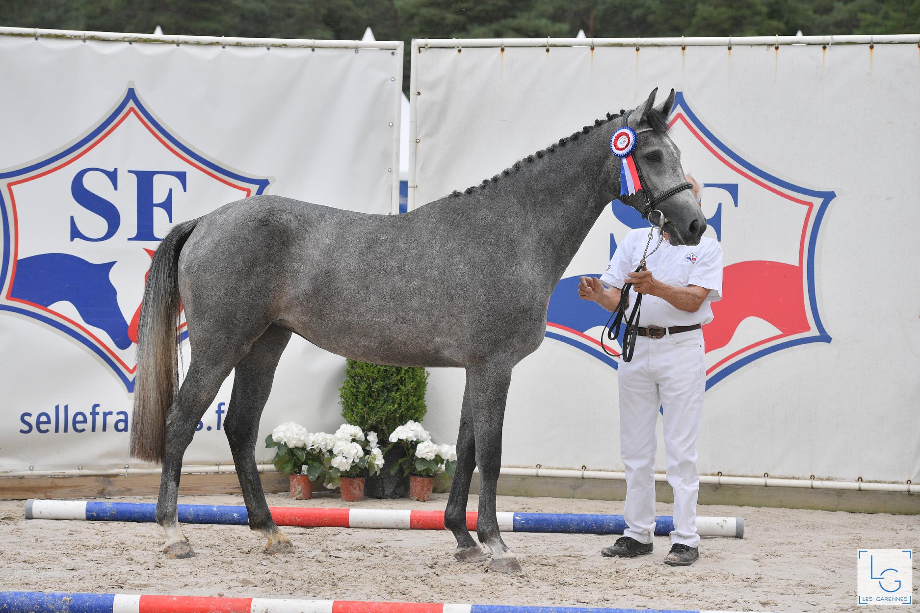 Championnats de France Voie Femelle SF : HEDJAZZ DU HAUT BOIS confirme