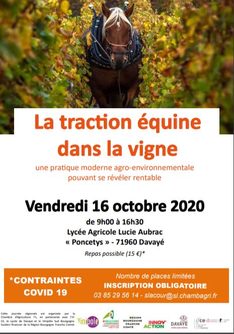 Davayé (71) : Une journée thématique sur l'utilisation de la traction équine en viticulture