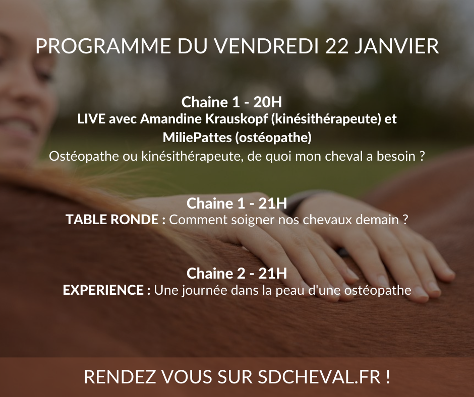 Programme du live de Vendredi sur le site internet de la Semaine Digitale !!