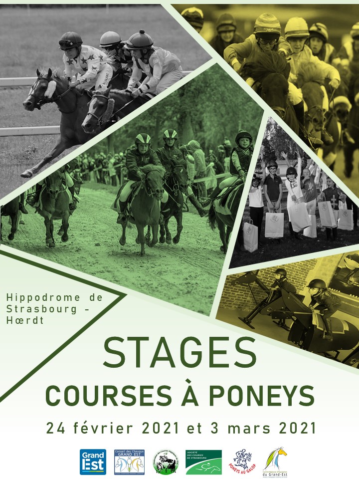 Stages de course à poneys prévus à l"hippodrome de Strasbourg-Hoerdt