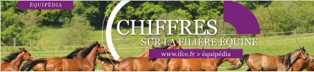 Chiffres sur la filière équine