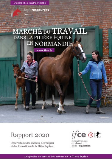 Marché du travail dans la filière équine en Normandie