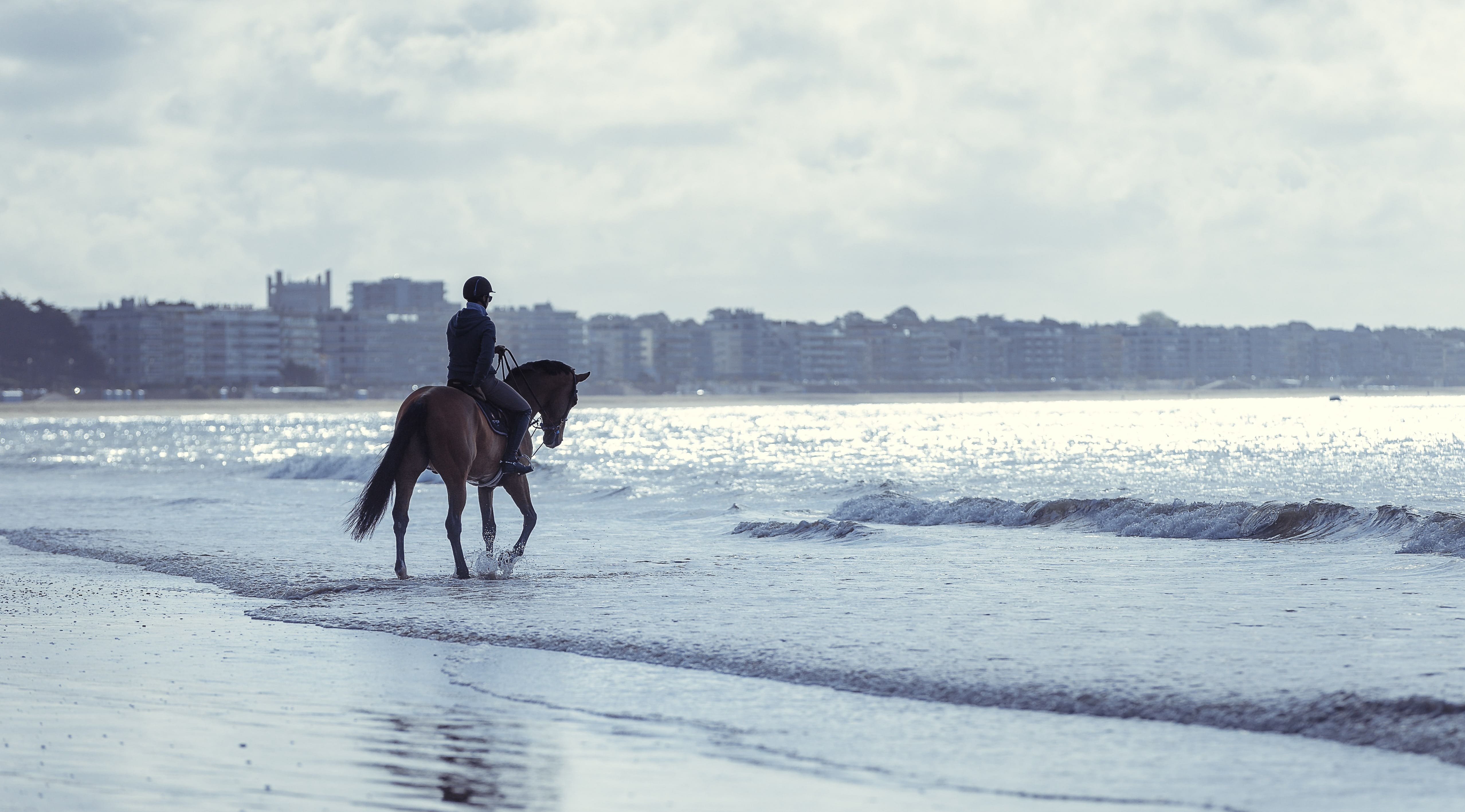 La Baule : 2021 sera l’année du cheval