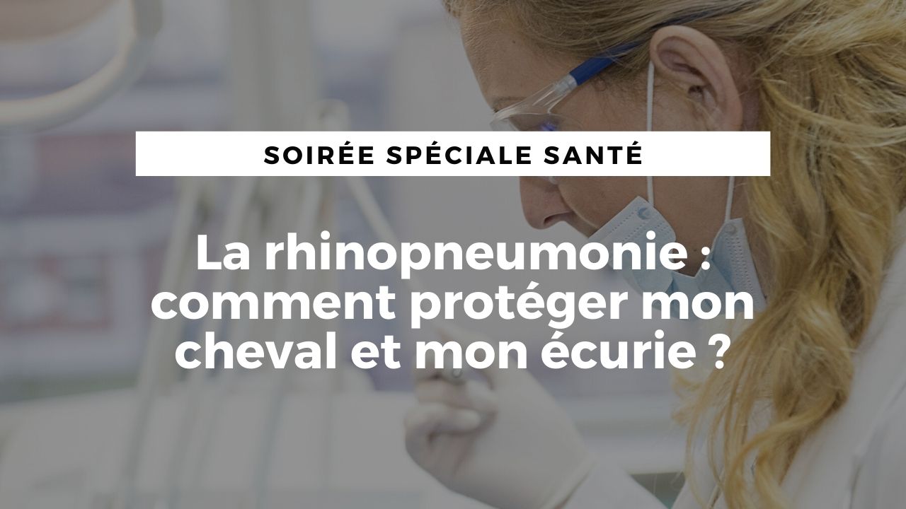 LIVE : la rhinopneumonie, comment protéger mon cheval et mon écurie ?