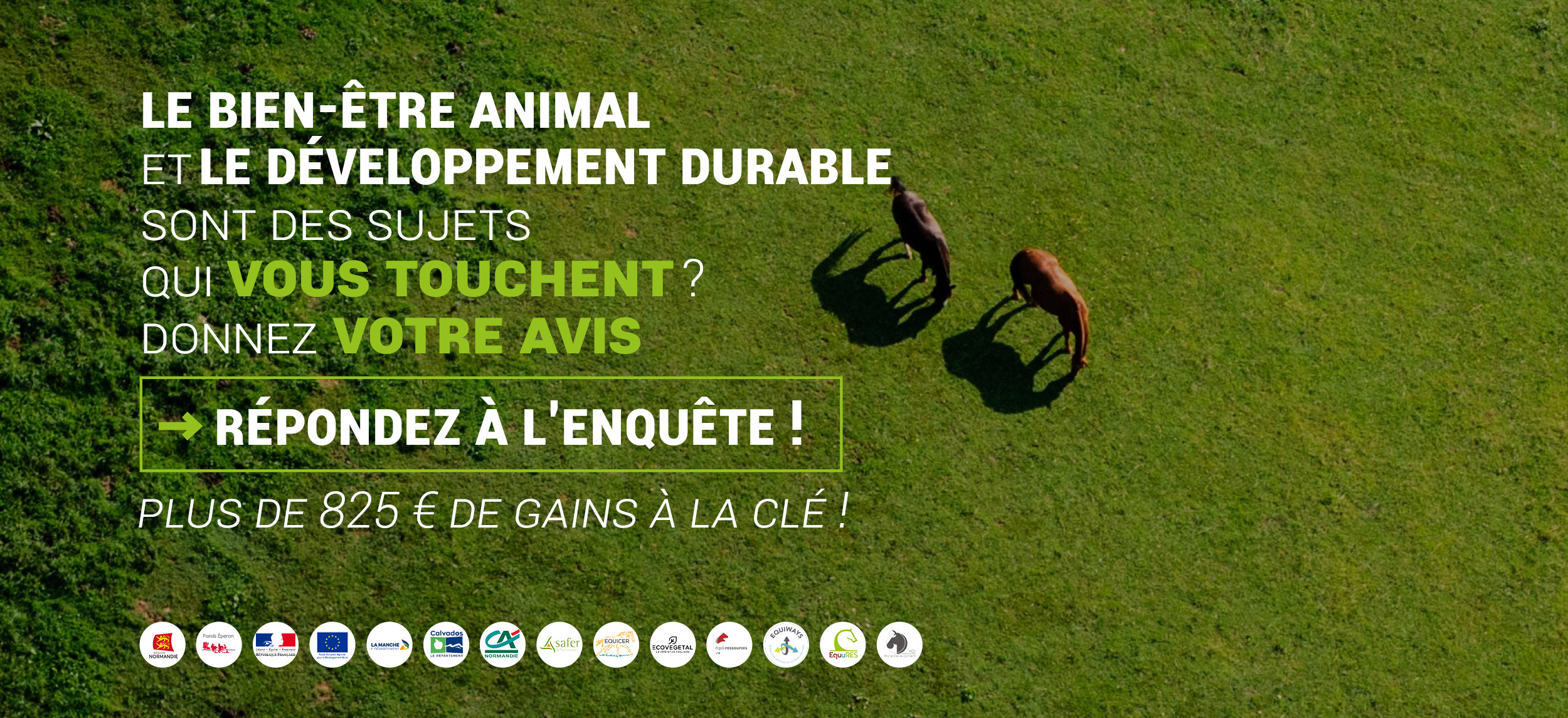 Enquête bien être animal, environnement, filière équine