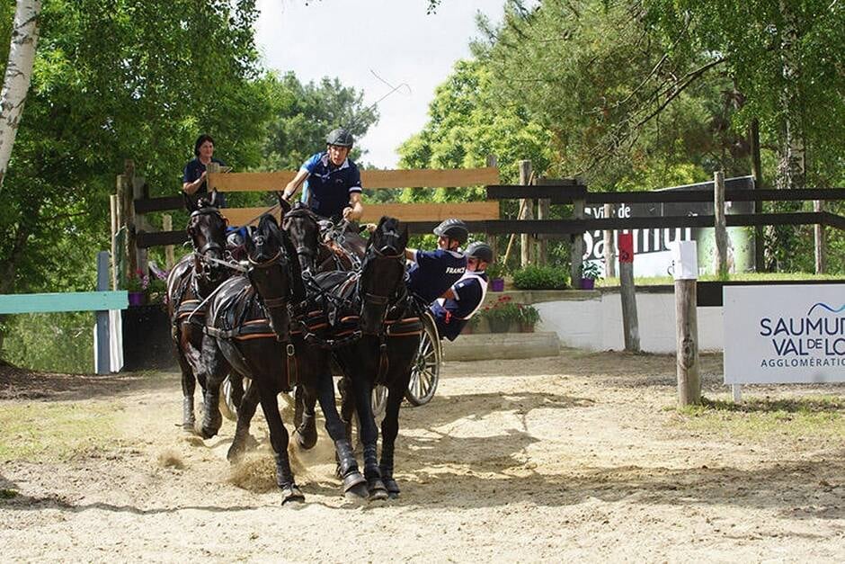 Maine-et-Loire. L’avenir de la filière équine passe aussi par l’hippodrome de Saumur