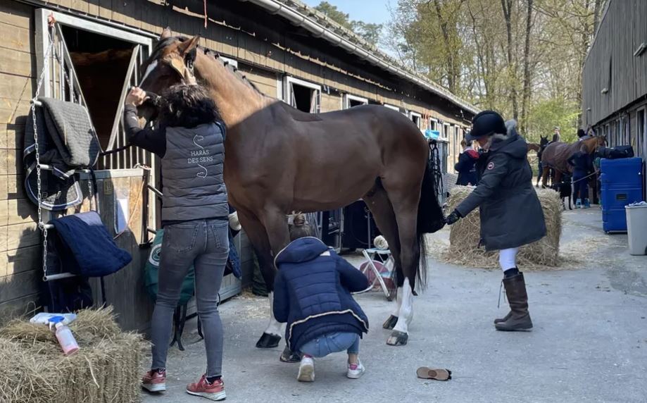 Près du Mans, dans la Sarthe : le plaisir des cavaliers de retrouver la compétition