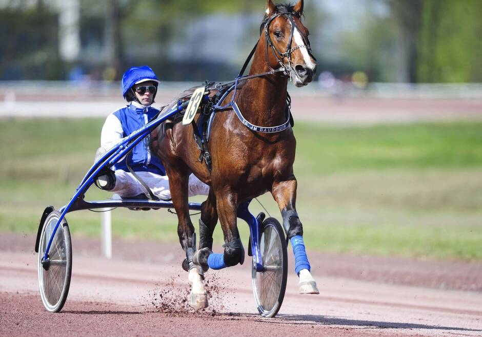 Hippisme. Nantes pourrait être parmi les premiers hippodromes à rouvrir au public