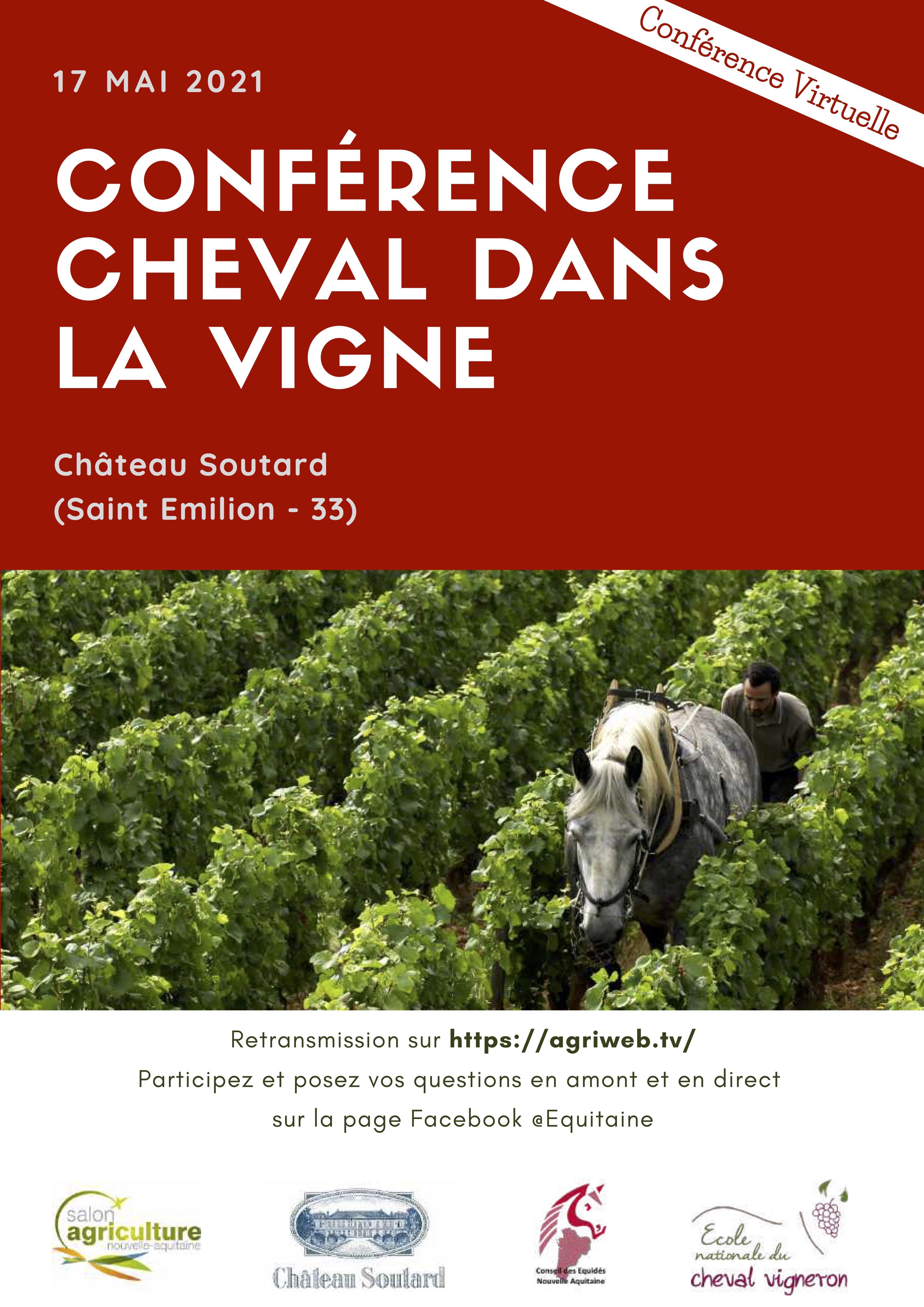 Conférence Cheval dans la Vigne