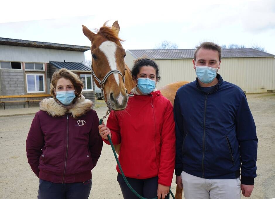 Sablé-sur-Sarthe. Des retraités cajolent les chevaux du lycée agricole