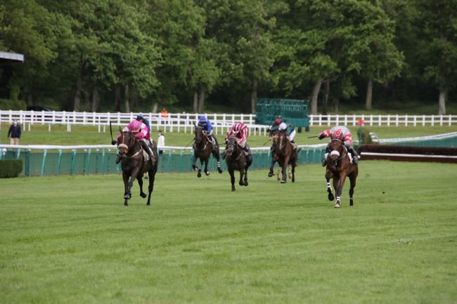 FRANCE SIRE ANJOU LOIRE CHALLENGE 2021 : Emeraude de Kerza redonne le kiff à la brigade de Gabriel Leenders