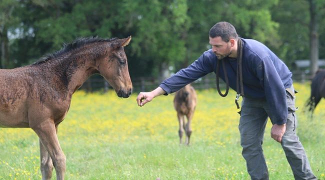 À LA RENCONTRE DE LA NOUVELLE GARDE DU HARAS DU #SAZ, AVEC DR. ROGER-YVES ET MR. NICOLAS SIMON