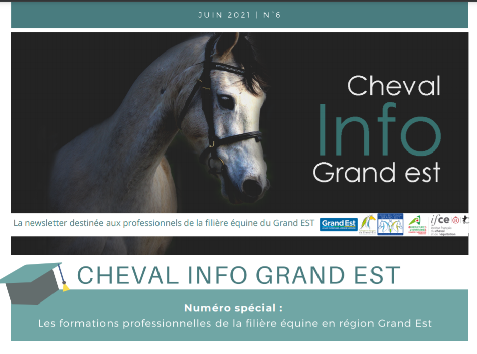 Newsletter Cheval Info Grand Est : Focus sur les formations professionnelles de la filière équine en Grand Est