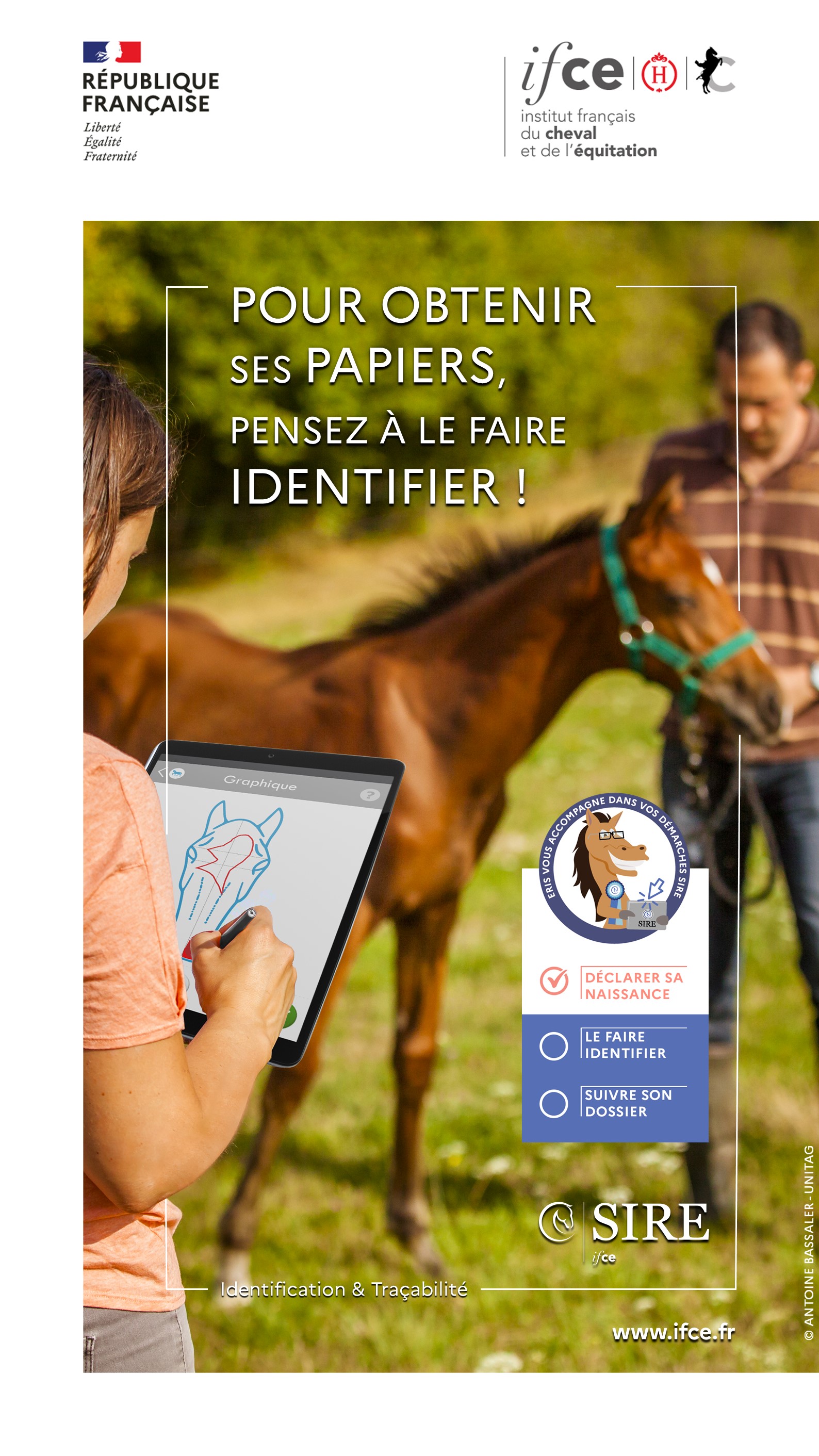 Pour obtenir ses papiers, pensez à le faire identifier !