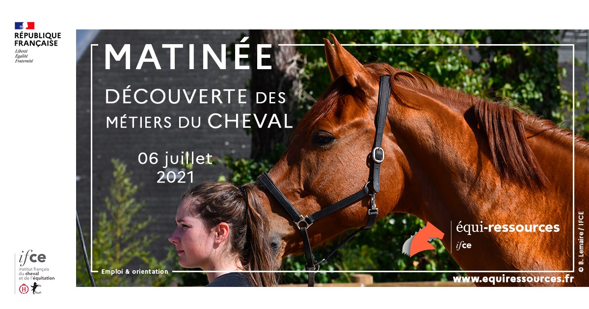 Matinée découverte des métiers de la filière cheval le 6 juillet 2021
