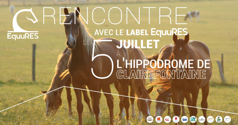 Journée Bien-être à l’Hippodrome de Clairefontaine