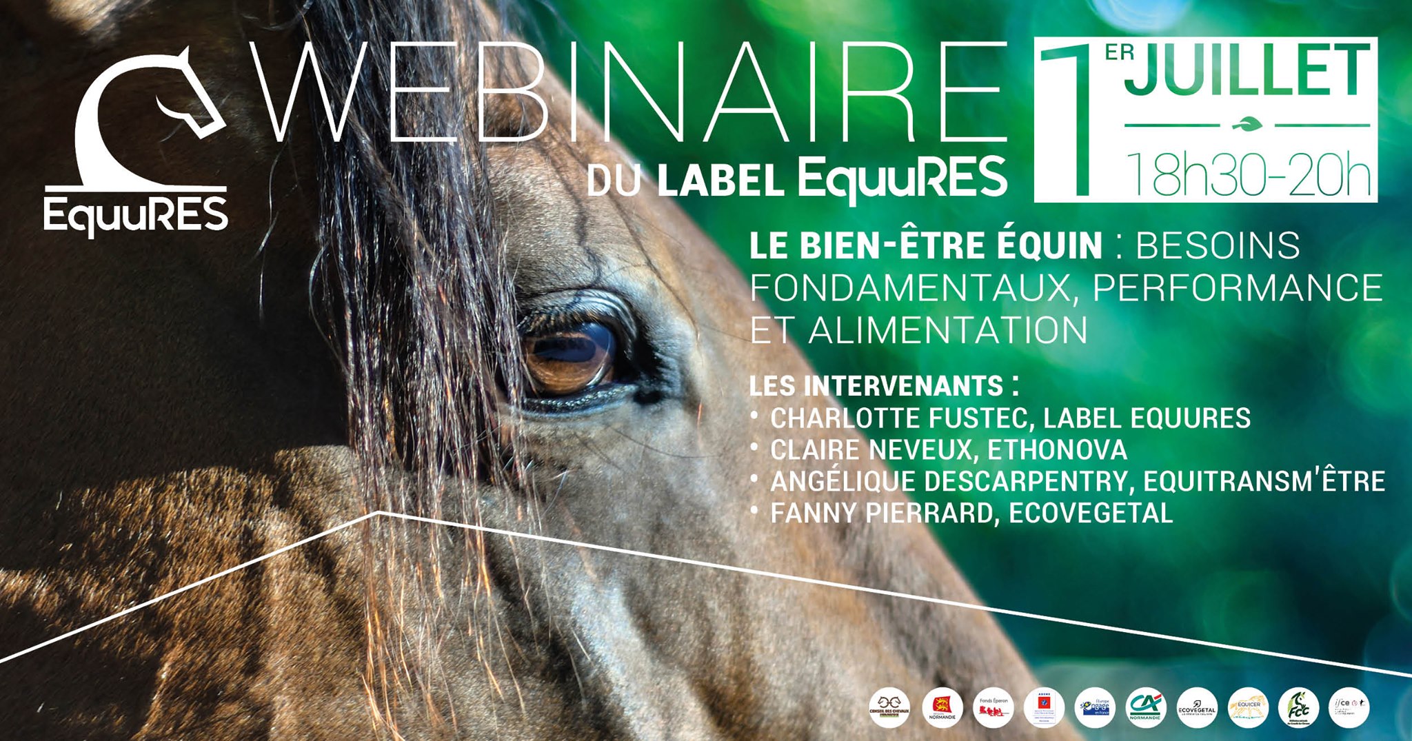 Webinaire du label EquuRES : Le bien-être équin, besoins fondamentaux, performance et alimentation