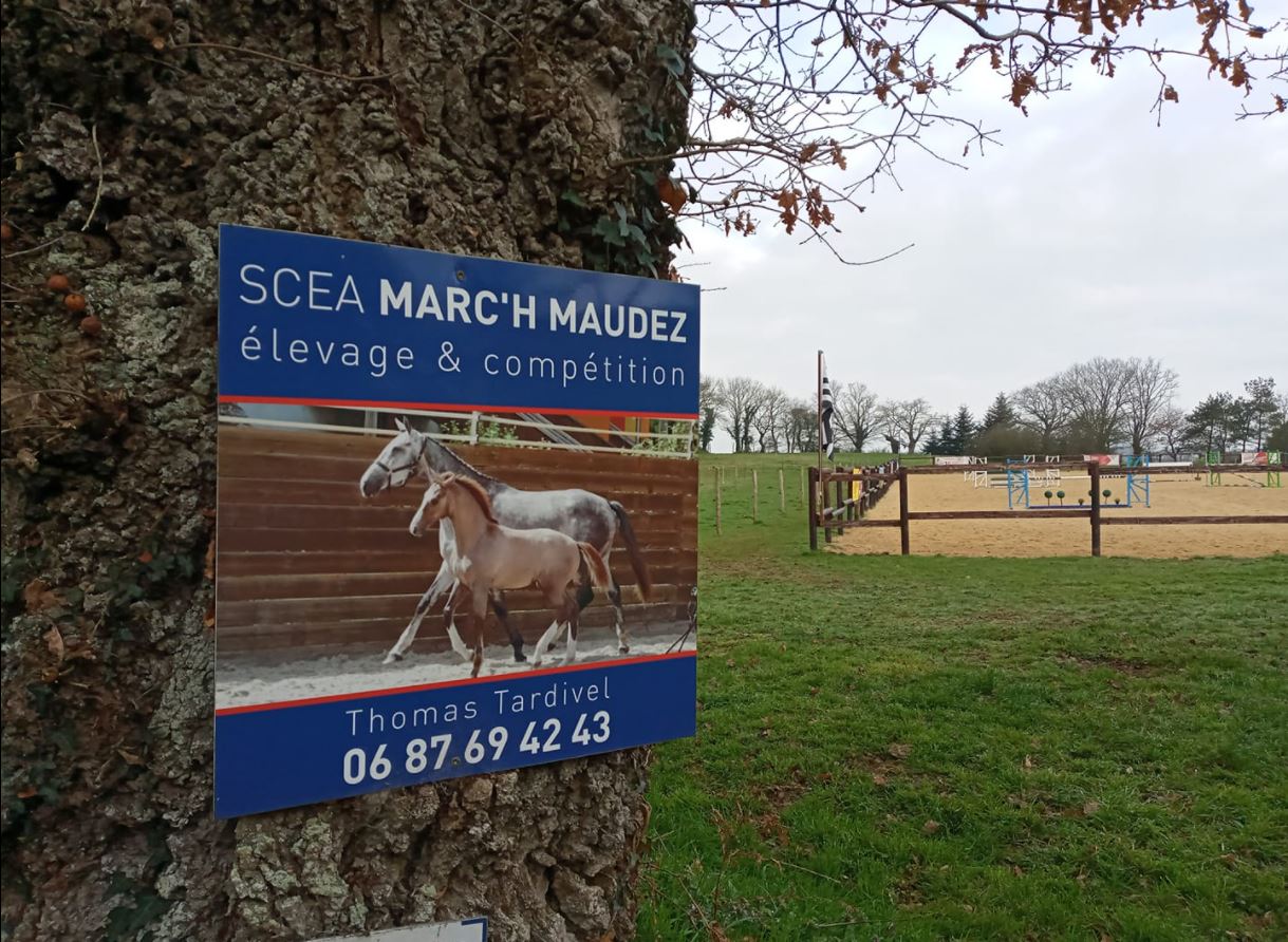 La SCEA Marc'h Maudez, premier élevage labellisé EquuRES en Bretagne