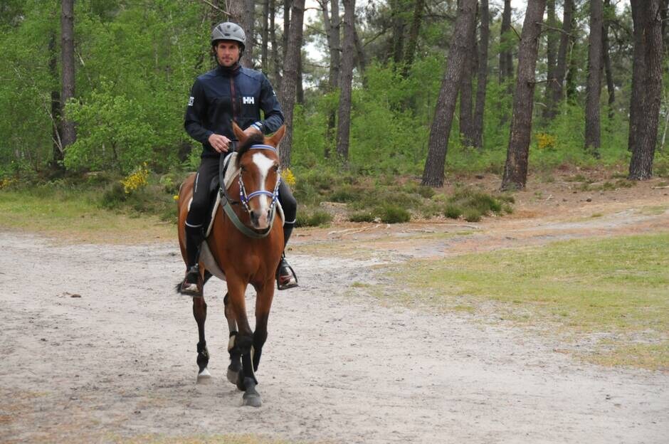 Saumur. L’hippodrome de Verrie, « c’est du caviar pour les cavaliers d’endurance »