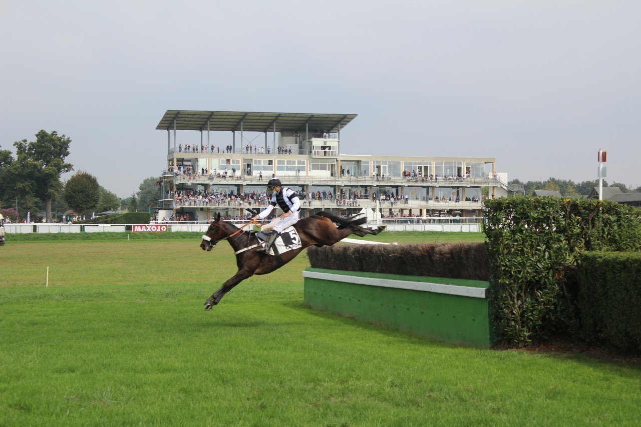 Le projet de la modernisation de l'hippodrome débloqué à Craon