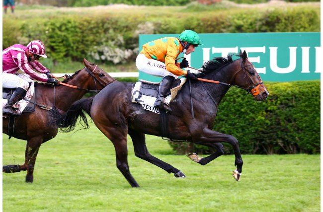 Grand Steeple-Chase : les spectaculaires images de la victoire du cheval mayennais Docteur de Ballon