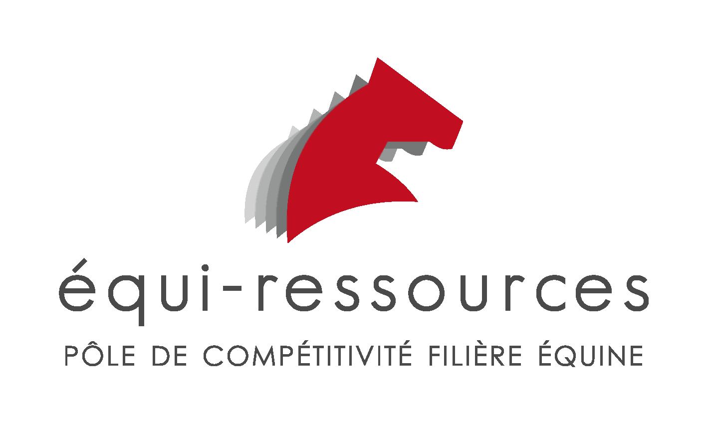 Bilan des offres d'emploi Equi-ressources au 30 juin 2021