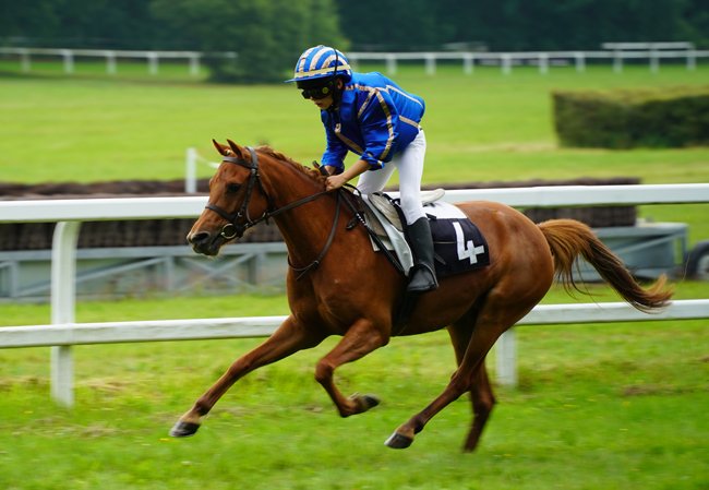 France Sire Poneys Cross Challenge 2021 : ça décoiffe à Sillé-le-Guillaume