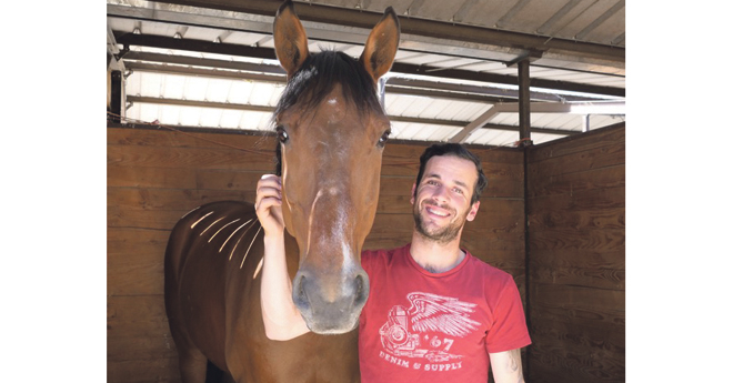 Mathieu Bourdon s’élève avec les chevaux de l’élevage du Tertre