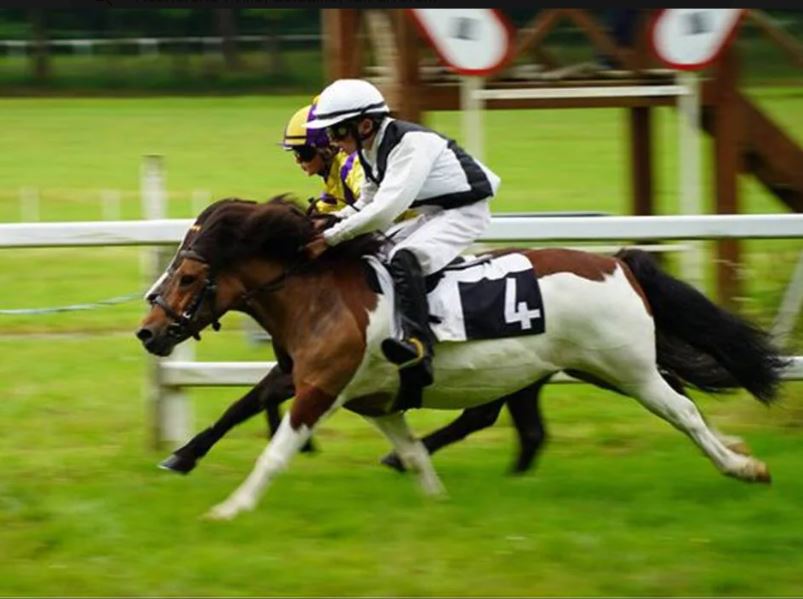 Sillé-le-Guillaume. Courses de poneys, le public présent et solidaire malgré la pluie