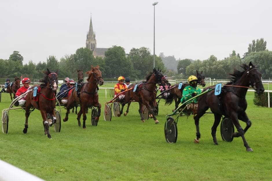 Sablé-sur-Sarthe. Du public malgré la pluie dans les tribunes de l’hippodrome