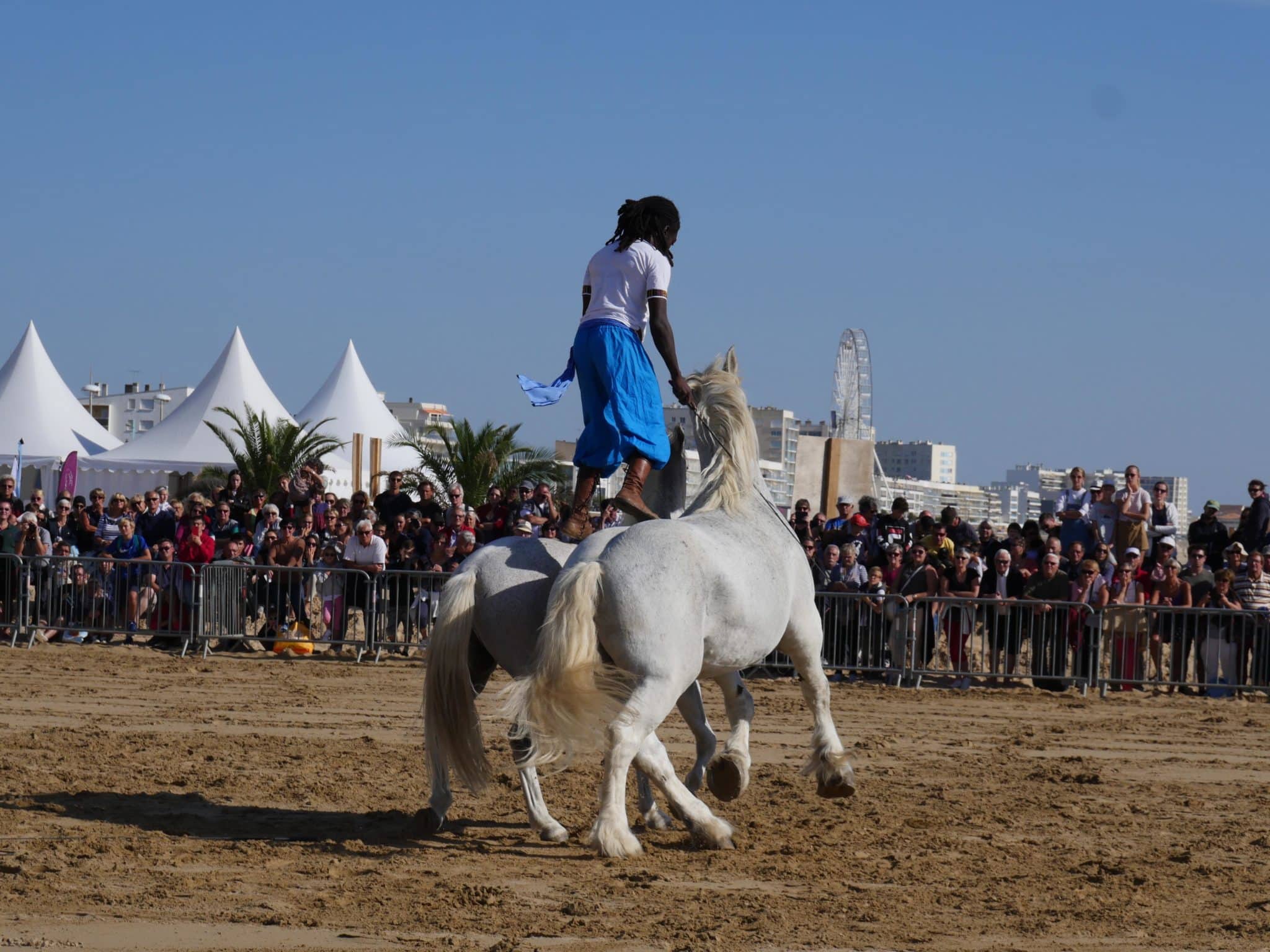 Caval'Océane, l'événement équestre entre deux marées