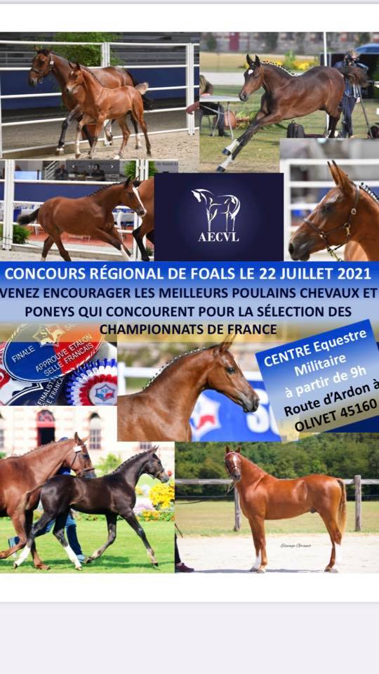 Des élevages de qualité en région remportent les deux premiers prix de la finale foals SF à St Lô