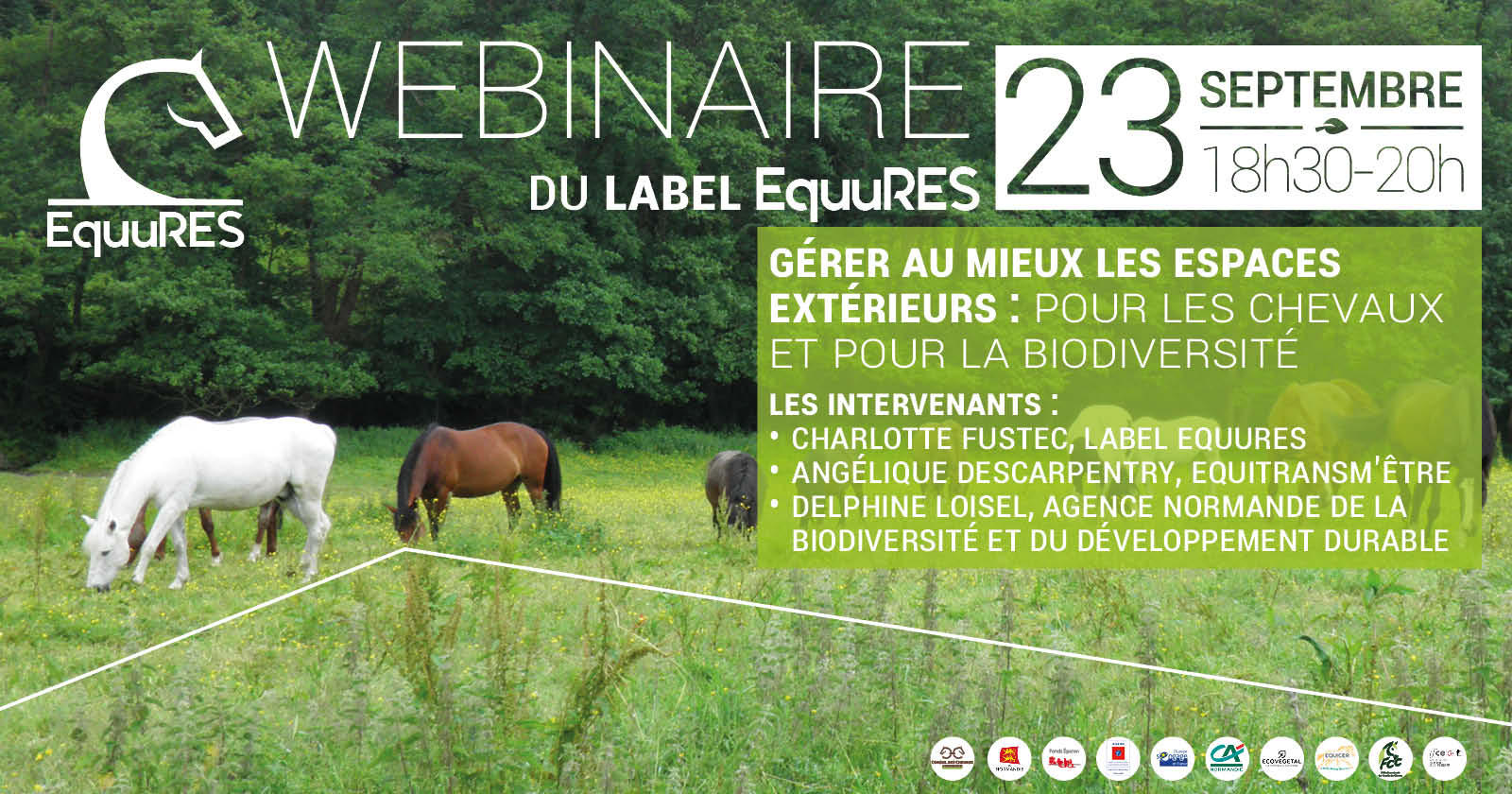 WEBINAIRE LABEL EQUURES – GÉRER AU MIEUX LES ESPACES EXTÉRIEURS : POUR LES CHEVAUX ET POUR LA BIODIVERSITÉ