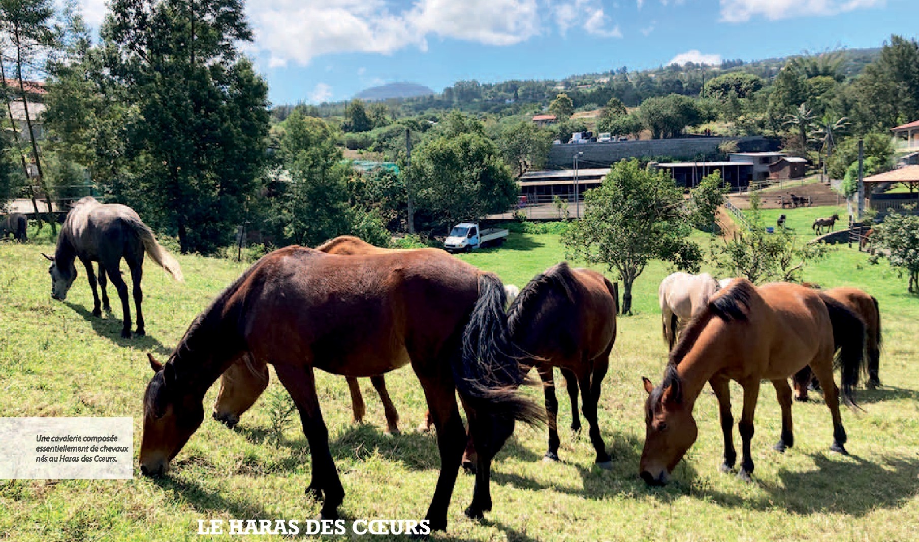 LE HARAS DES COEURS