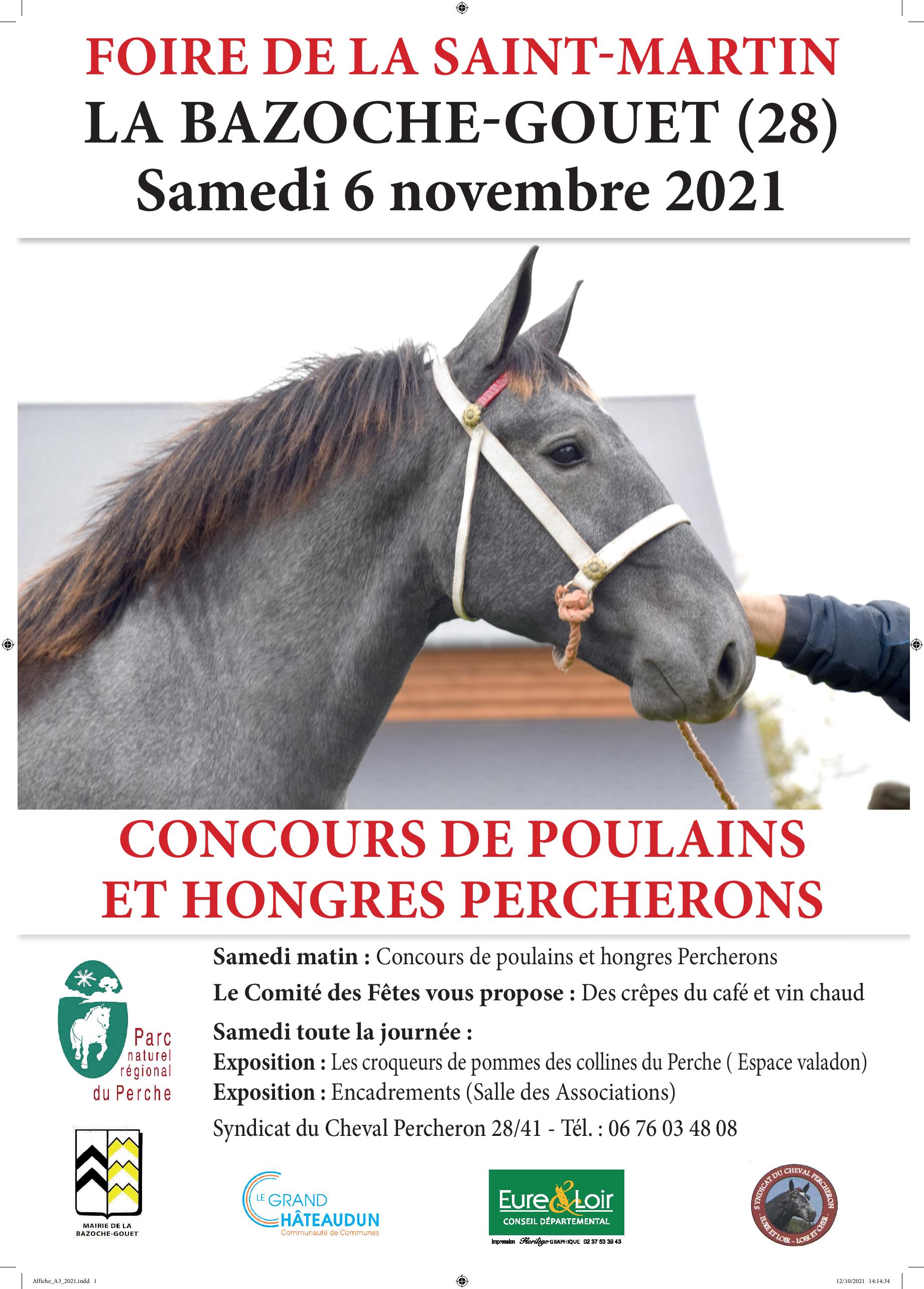 La Bazoches Gouet : le RDV des Percherons le 06 11 2021