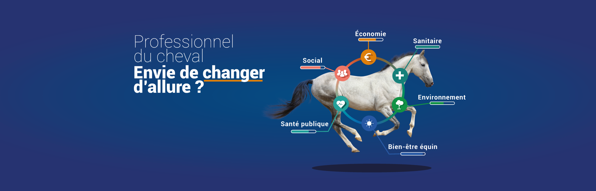 Premier Webinaire EQUI’UP !