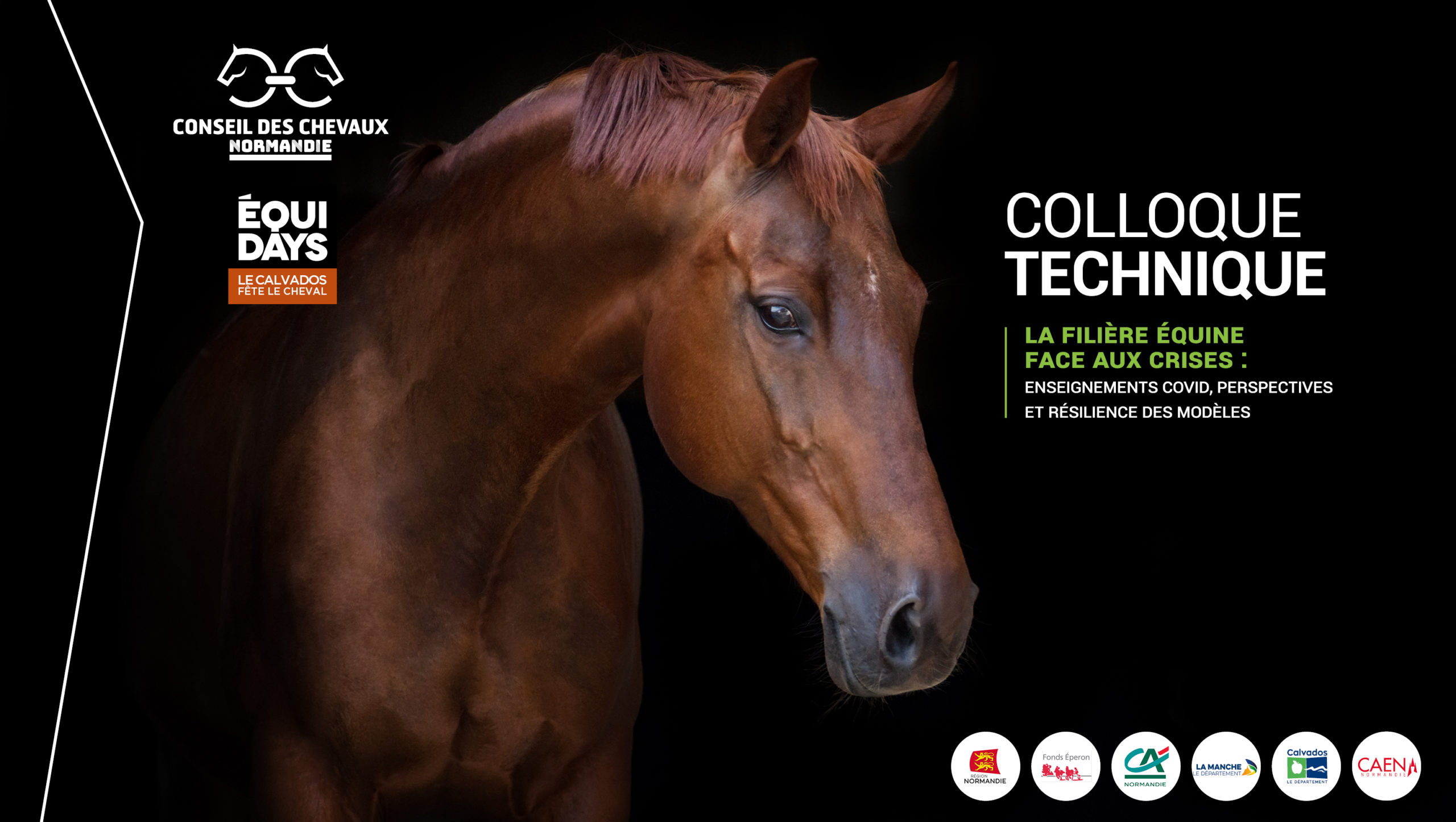 Retour sur le Colloque du Conseil des Chevaux de Normandie 2021