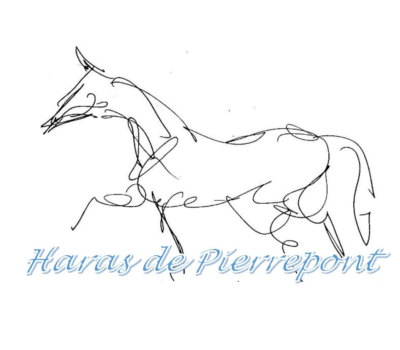 L’élevage de Pierrepont, élevage de chevaux de course dans le Bessin, labellisé EquuRES